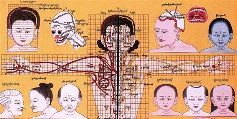 迴藏需要帶什麼藥與文化衝突下的現代醫學考量